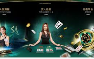 BET365官方网站免费版